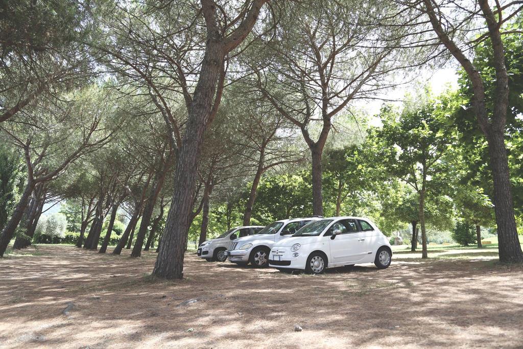 Hotel La Carrozza D'oro 3*